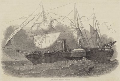 The Missing Steamer, Forth by Edwin Weedon